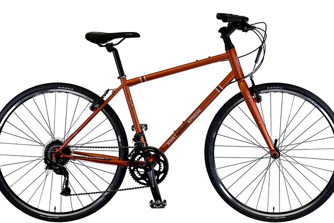 Bike Rental in South Lake Tahoe - Exploring Lake Tahoe by Bike: A Convenient and Enjoyable Experience