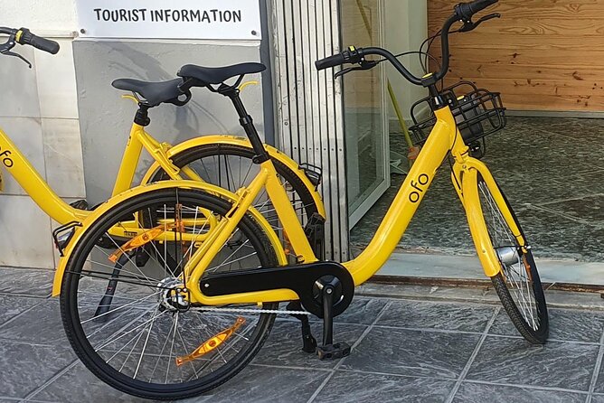 Bike Rental per Day in Seville - What Makes the Bicycles Stand Out