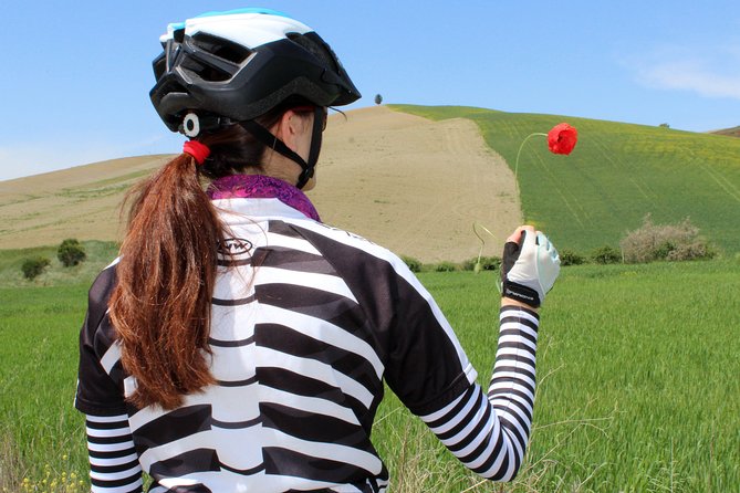 Bike Ride immersion val d'Orcia - Explore the Scenic Landscape of Val dOrcia on a Guided Bike Tour for $138.91