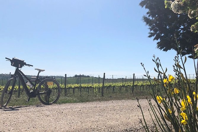 Bike Ride immersion val d'Orcia - Heading Down to Bagno Vignoni’s Thermal Baths