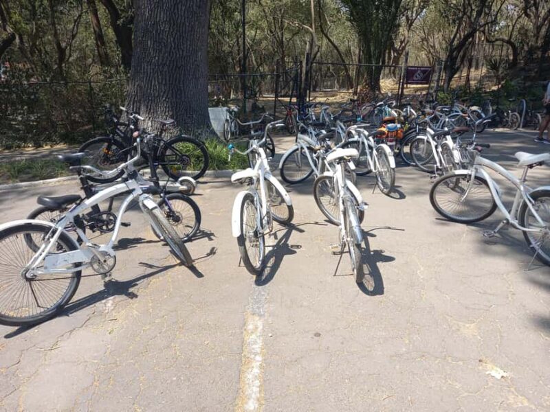 BIKE RIDE THROUGH ICONIC SITES OF THE CDMX / BREAKFAST & BEER - Key Points