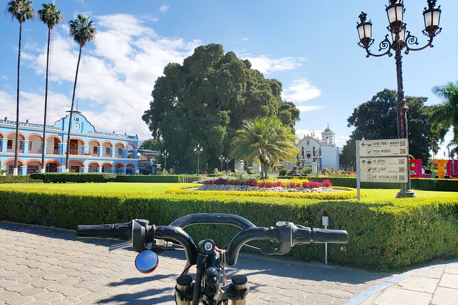 Bike Ride to the Largest Tree in the World - Explore the Iconic El Tule Tree on a Guided Bike Tour in Oaxaca