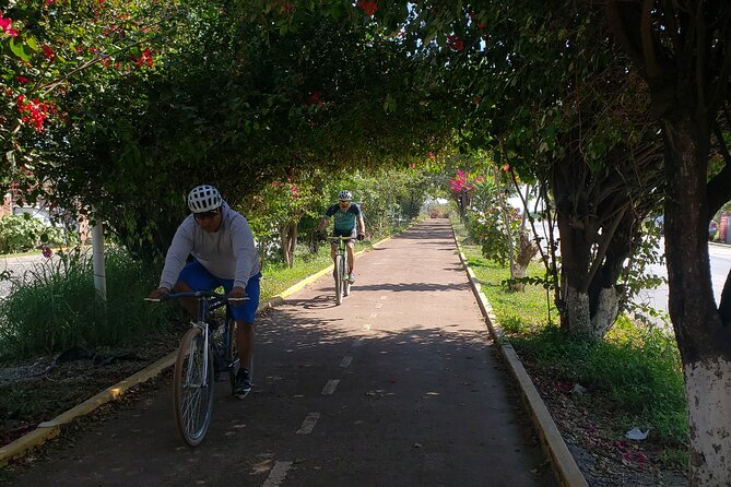 Bike Ride to the Largest Tree in the World - Free Time at the Santa Maria del Tule Square