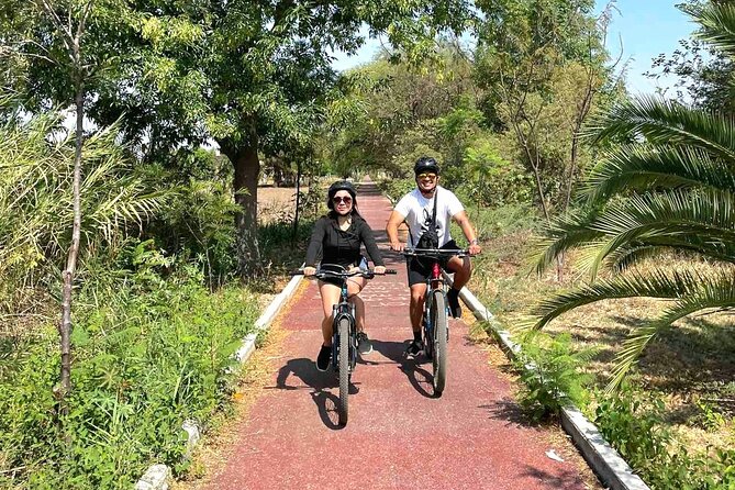 Bike Ride to the Largest Tree in the World - Tour Inclusions and Practical Details