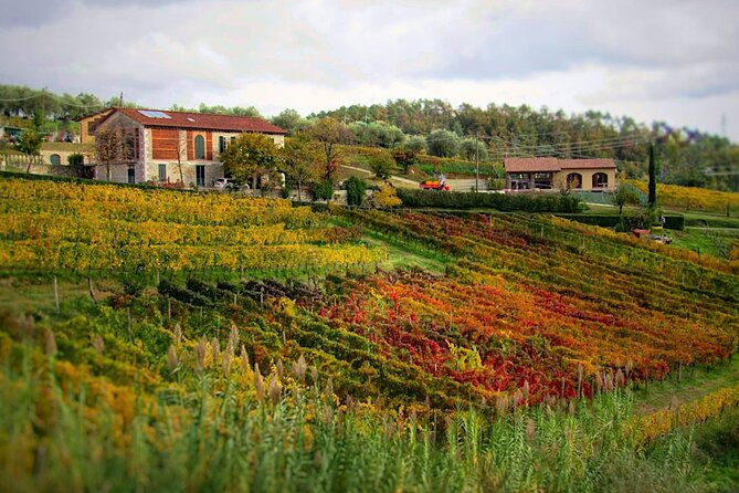 Bike Ride & WIne Tasting - Discover the Lucca Countryside on a Bike