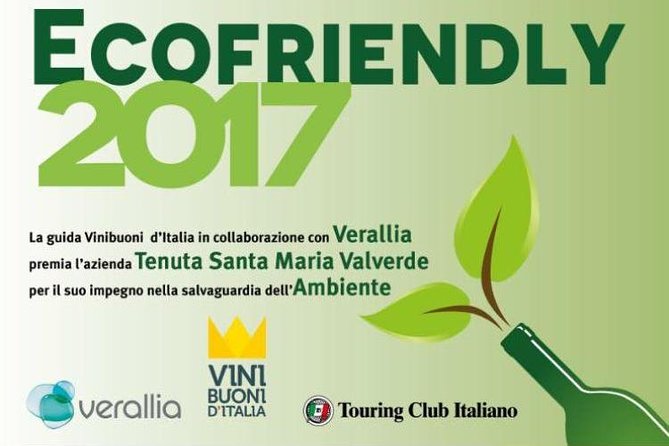 Bike Station Valpolicella: E-bike tour & Amarone Tasting - Weather Considerations and Cancellation Policy