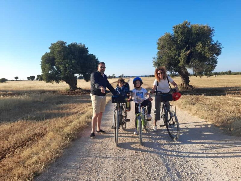 Bike Tour among the Ancient Olive Trees with EVO Oil Tasting - Route Details and Key Stops