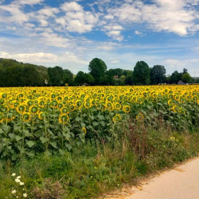 Bike tour from Vernon to Giverny with local guide - Practical Tips and Logistics for a Smooth Day