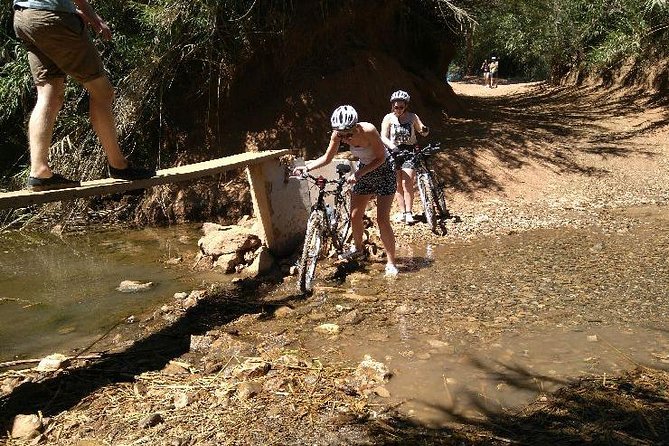 Bike tour Go into Nature - Physical Demands and Accessibility