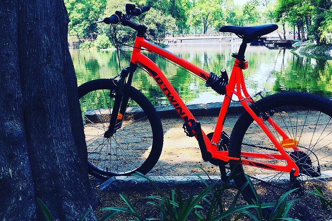 Bike Tour in Mexico City - The Expertise of Guides like Miguel and Bianca