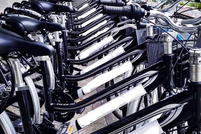 Bike Tour in San Sebastián with FREE pintxo and drink! - Strolling Along La Concha Beach and Ondarreta