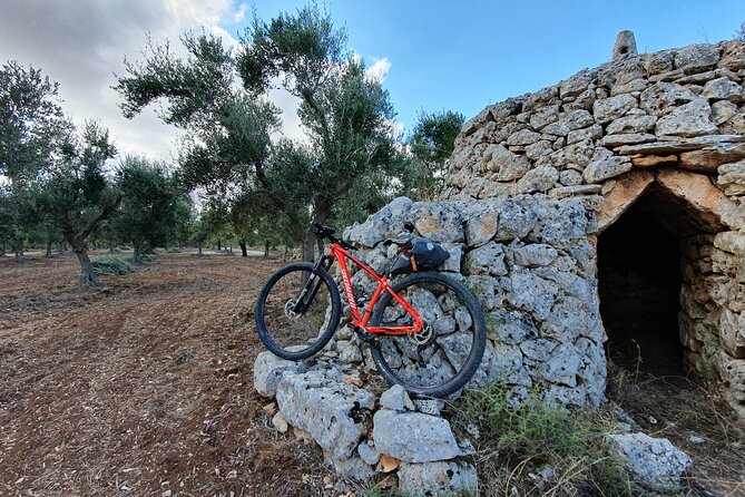 Bike Tour in the Alta Murgia National Park (Pulo of Altamura) - Suitable for a Wide Range of Participants