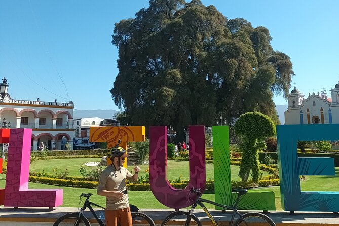 Bike tour to the Tule Tree and the Gastronomic Market - Explore the Largest Tree in the World on a Guided Bike Tour from Oaxaca