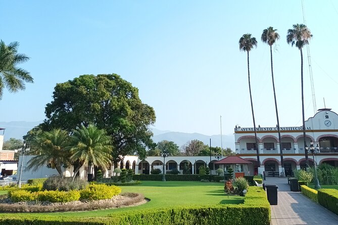 Bike tour to the Tule Tree and the Gastronomic Market - The Ride from Oaxaca to Santa María del Tule