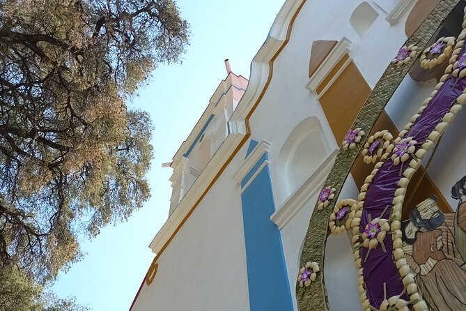 Bike tour to the Tule Tree and the Gastronomic Market - Why This Tour Excels: Strengths and Unique Features