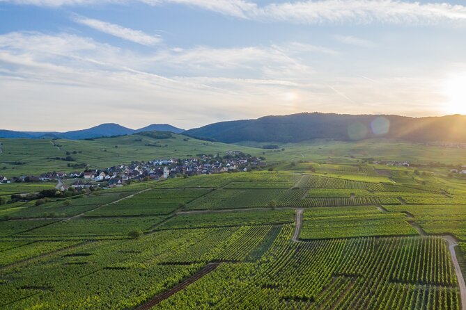 Bike tour with a local - Suitable for Active Travelers Wanting a Personal Touch