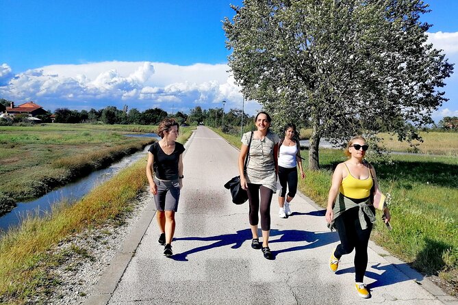 Bike tour with honey and artichockes on SantErasmo island - From Venice to the Island: The Vaporetto Journey