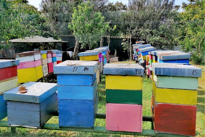 Bike tour with honey and artichockes on SantErasmo island - Visiting Torre Massimiliana: The Historic Lagoon Fortress