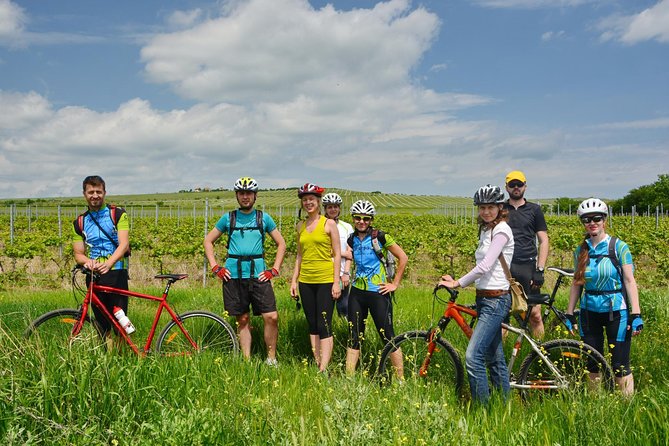 Bike & Wine tour in Dealu Mare wineland - The Experience of a Small Guided Group