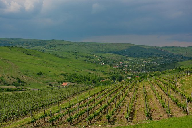 Bike & Wine tour in Dealu Mare wineland - Practical Details and Tips