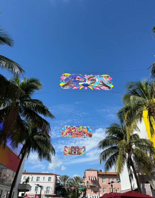 Biking tour around South Beach - in French - Admiring the Green Space and Water Views at Flamingo Park