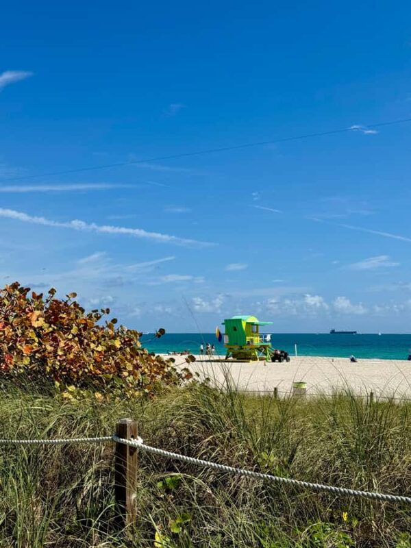 Biking tour around South Beach - in French - The Value of a Guided Bike Tour in South Beach