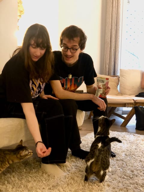 Bilbao: 1 Hour Entry Ticket to a Cat Café - Supporting Rescue Cats and a Non-Profit Mission