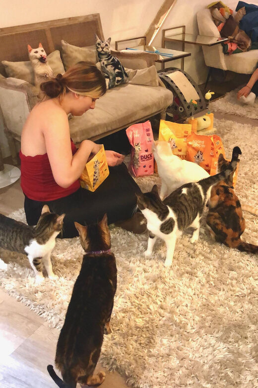 Bilbao: 1 Hour Entry Ticket to a Cat Café - Comfortable and Clean Environment with Excellent Ratings