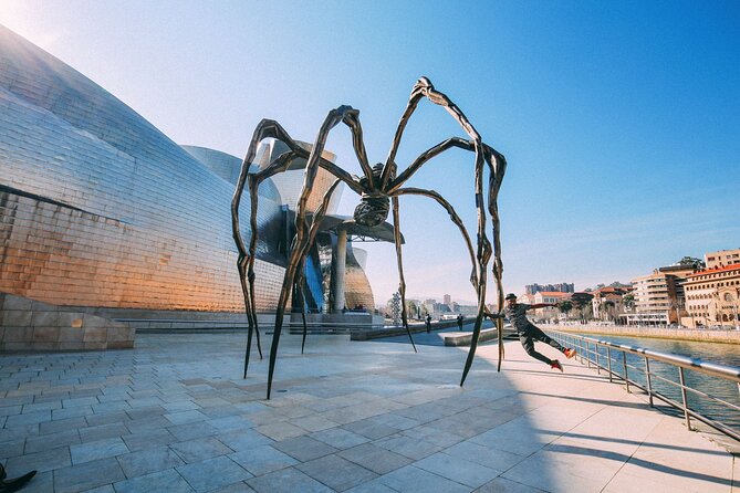 Bilbao Airport Transfers : Bilbao City to Bilbao Airport BIO in Business Car - Booking Process and Cancellation Policy