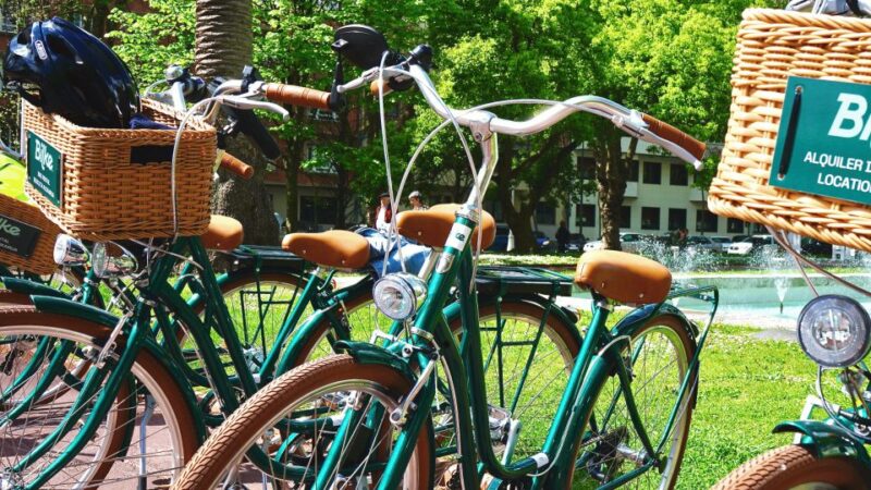 Bilbao City Bike Rental - The Classic Bicycle Model and Its Comfort Features