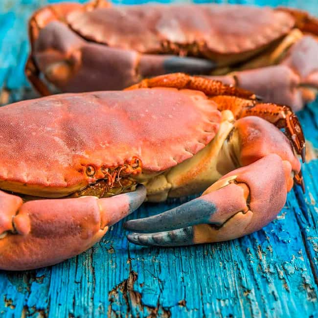 Bilbao: Guggenheim Secrets & Savor the Seas Treasures. VIP - Outdoor Sculptures and Architectural Details