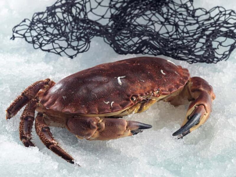 Bilbao: Guggenheim Secrets & Savor the Seas Treasures. VIP - Confirmed Guide Excellence and Positive Feedback