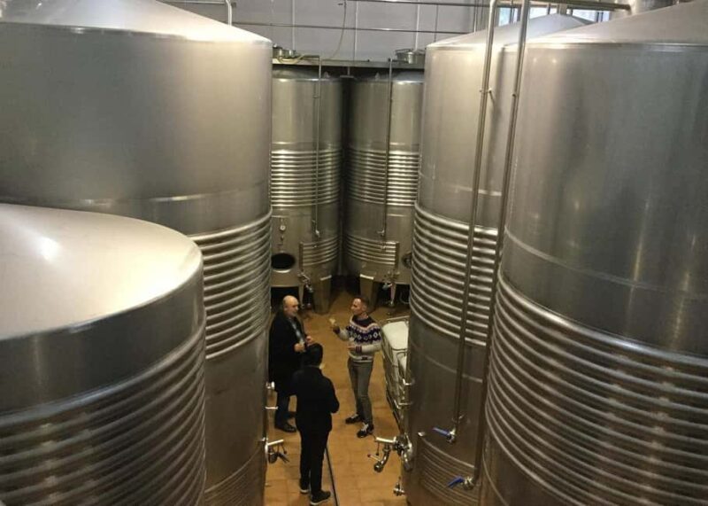 Bilbao: Txakoli and Local Flavors in the Urdaibai Biosphere - Savoring Basque Cuisine with Local Pairings