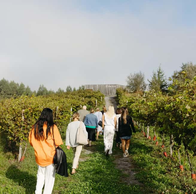 Bilbao: Txakoli and Local Flavors in the Urdaibai Biosphere - The Scenic Charm of Urdaibai Biosphere Reserve