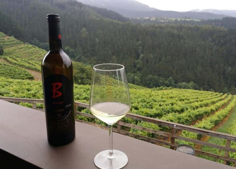 Bilbao: Txakoli and Local Flavors in the Urdaibai Biosphere - Why Choose the Bilbao Txakoli and Local Flavors Tour?