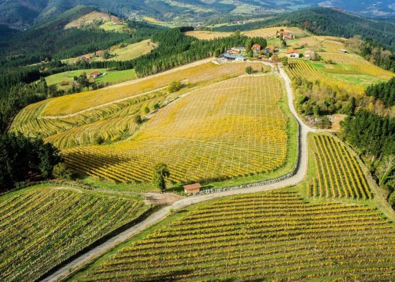 Bilbao: Txakoli and Local Flavors in the Urdaibai Biosphere - Frequently Asked Questions