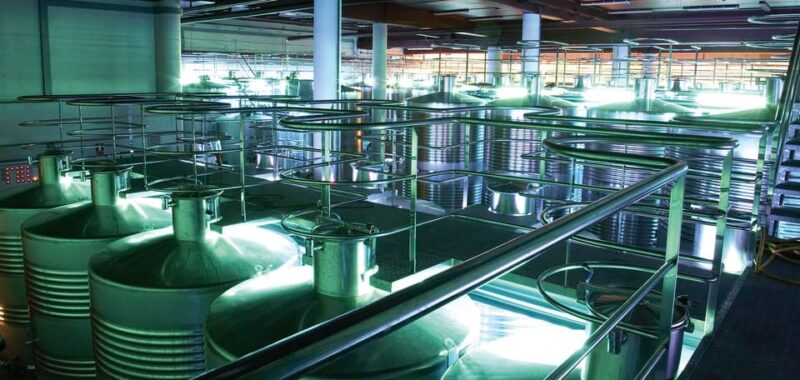 Bilbao Txakoli Wine Tour - Who Will Find This Tour Most Valuable?