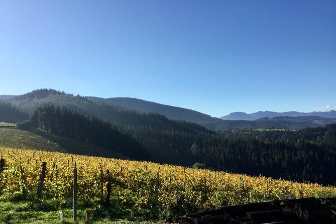 Bilbao Txakoli Wine Tour - Tasting Txakoli at a Traditional Txakolindegi