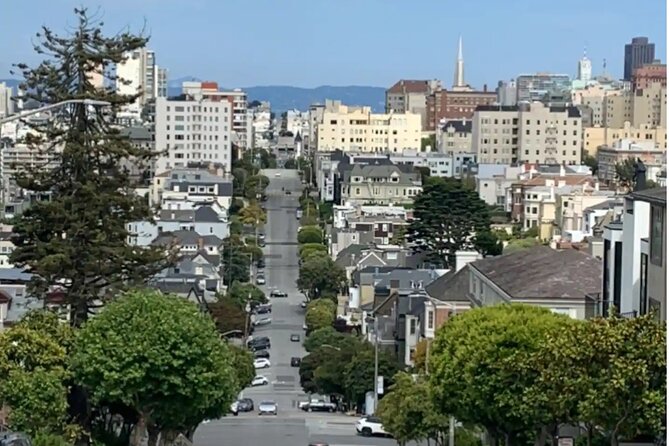Billionaire Row and Palace of Fine Art Walking Tour - Starting at Alta Plaza Park: From Quarry to City Oasis