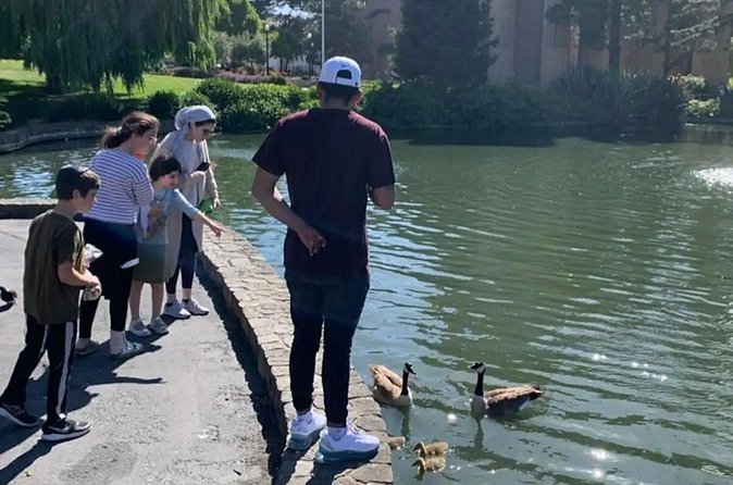 Billionaire Row and Palace of Fine Art Walking Tour - Logistics and Accessibility