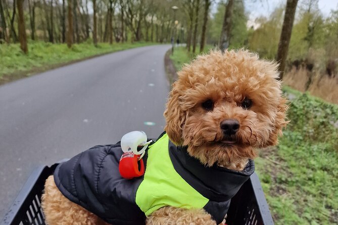 Bill's Bike Tour Amsterdam - Culture, Liberalism & Tolerance - Exploring Amsterdam’s Nightlife at Gashouder