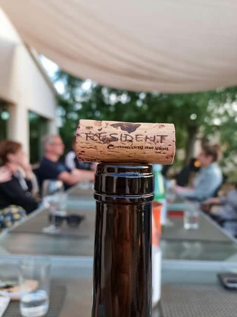 Binissalem: Individual vineyard tour and wine tasting in German - Exploring the Vineyard on Foot with Seasonal Grapes Tasting