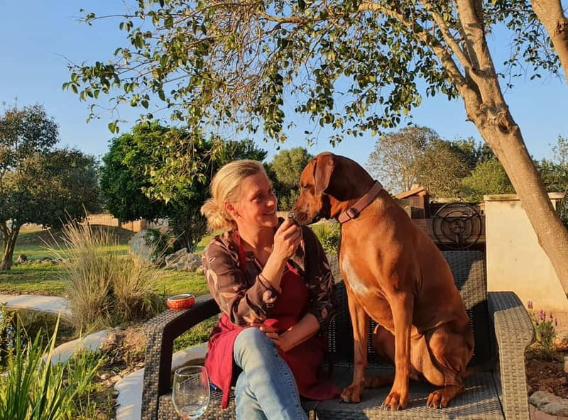 Binissalem: Individual vineyard tour and wine tasting in German - The Passionate Hosts: Nici & Timo