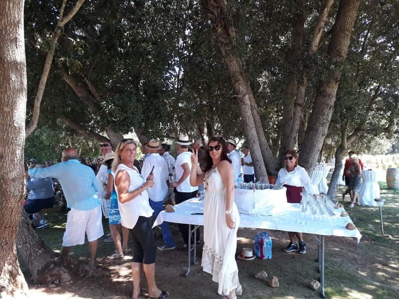 Binissalem: Individual vineyard tour and wine tasting in German - Frequently Asked Questions