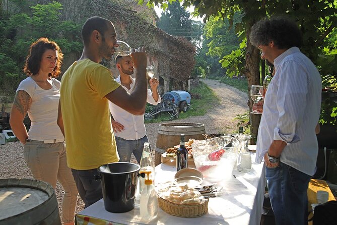 Biodynamic Farm and Natural Wines Tasting in Lazise - Key Points