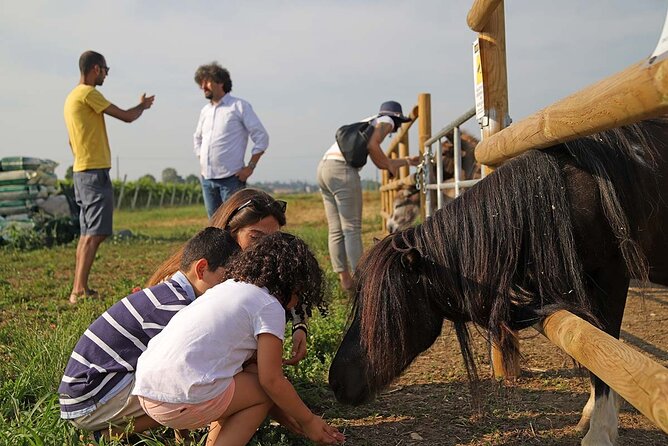 Biodynamic Farm and Natural Wines Tasting in Lazise - Natural Wines: From Light to Structured