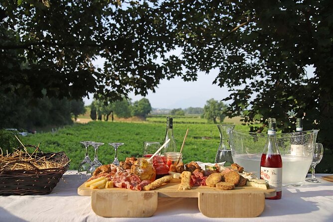 Biodynamic Farm and Natural Wines Tasting in Lazise - The Farm Visit and What You’ll See