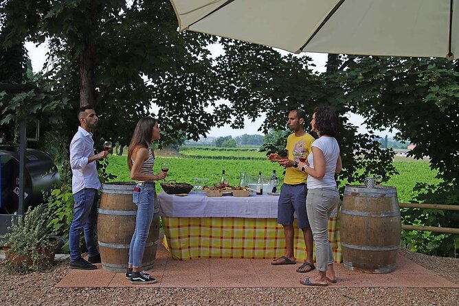 Biodynamic Farm and Natural Wines Tasting in Lazise - The Terraced Vineyard View and Relaxed Atmosphere