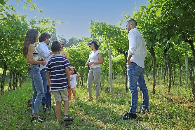 Biodynamic Farm and Natural Wines Tasting in Lazise - Booking and Cancellation Policy