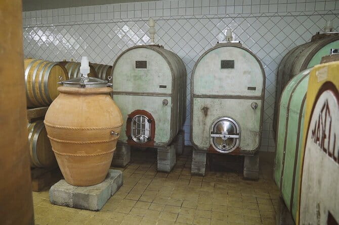 Biodynamic Wine Tasting with Producer in Vinci - The Experience Beyond the Glass